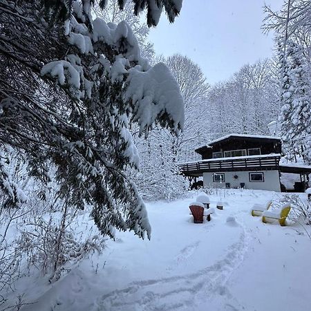 Chalet Dans Les Arbres. 3 Ch. /Trees House 3Bdr Lac Sainte-Marie Exterior foto